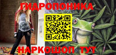 мяу мяу мука Кингисепп