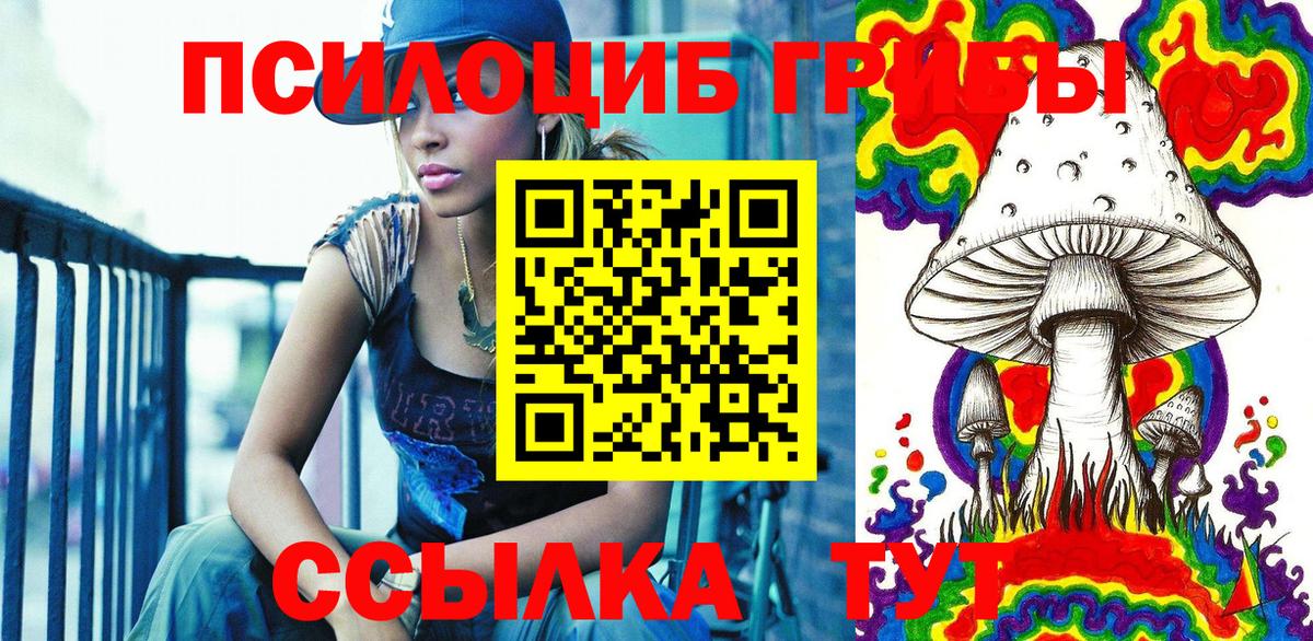 Галлюциногенные грибы Psilocybe Кстово