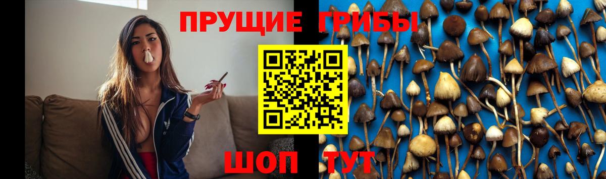 Псилоцибиновые грибы мухоморы  Вход с VPN  Кстово 